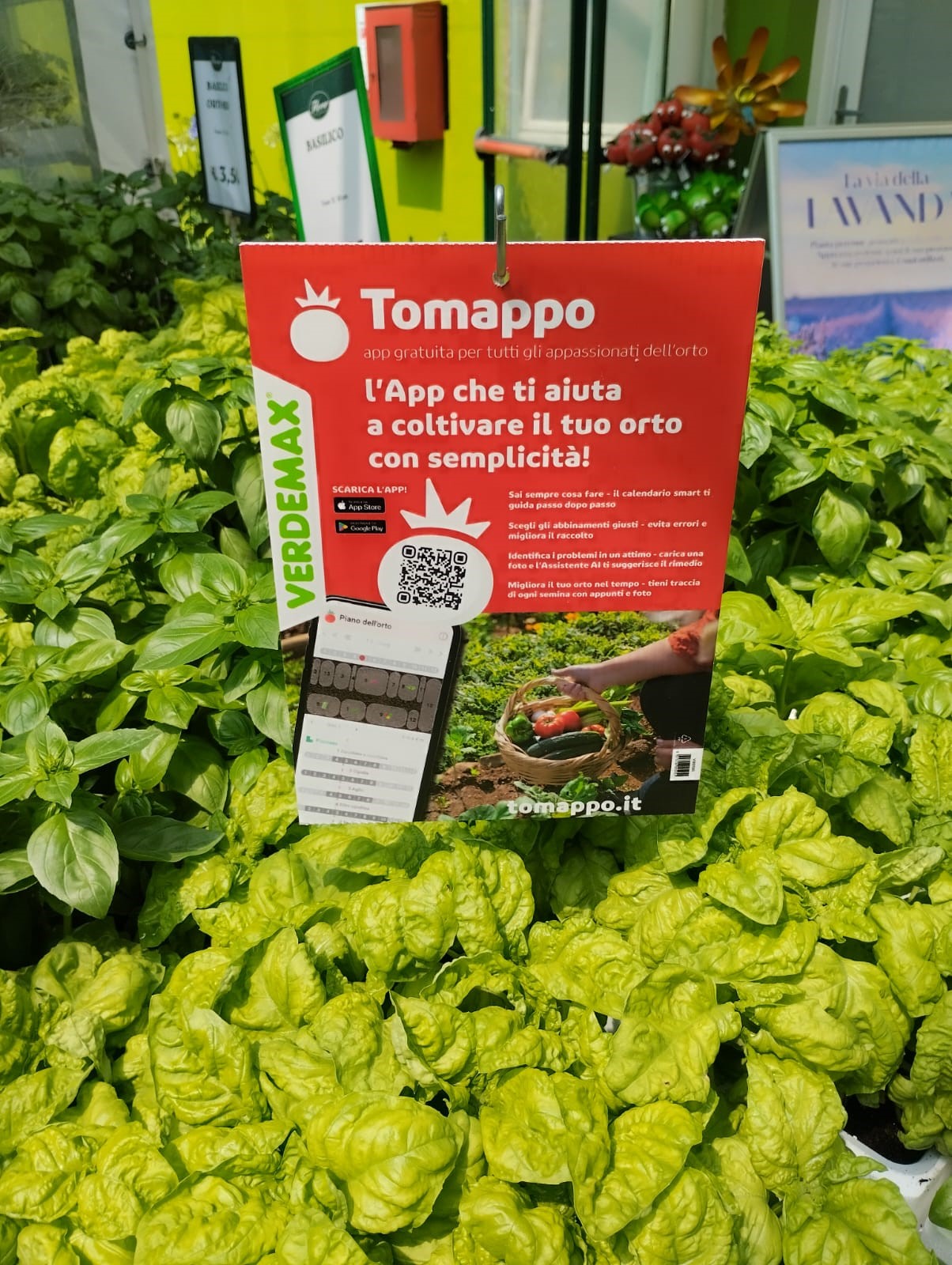 Garden center display